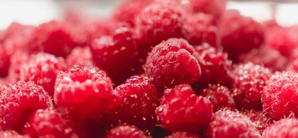 Background texture of dripping raspberry. Foto stock