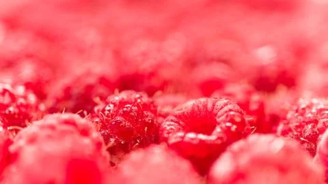 Background texture of dripping raspberry. Stock Photos