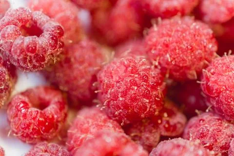 Background texture of dripping raspberry. Stock Photos