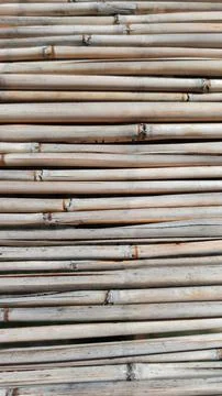 Background texture of dry bamboo cane. Flat lay, vertical frame Stock Photos