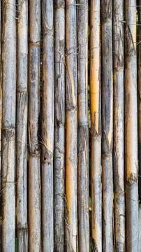 Background texture of dry bamboo cane. Flat lay, vertical frame Stock Photos