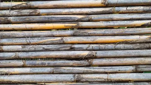 Background texture of dry bamboo cane, flat lay Stock Photos