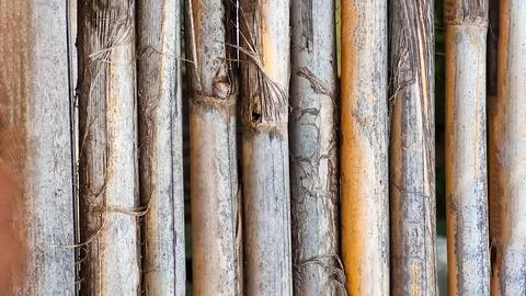 Background texture of dry reed cane. Flat lay Foto stock