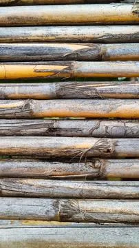 Background texture of dry reed cane. Flat lay, vertical frame Stock Photos
