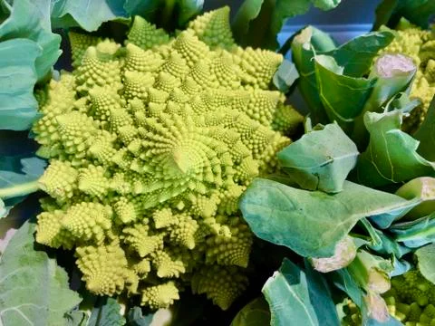 Background texture: exotic vegetables. Patterns of Green Cabbage Romanesco. V Stock Photos