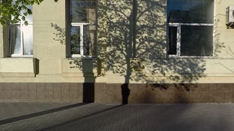 Background texture of the facade of the building windows Stock Footage 128342960