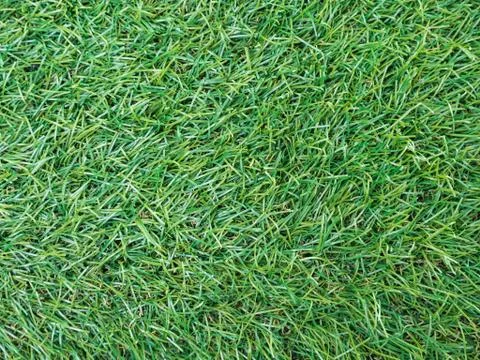 Background texture with fake grass top view. Stock Photos