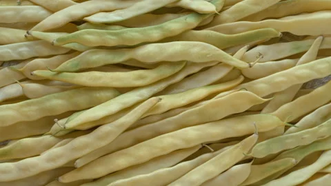 Background texture featuring yellow Merveille de Venise string beans. Video stock 346189010