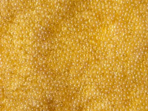 Background texture of fish caviar. Caviar texture pattern. Stock Photos