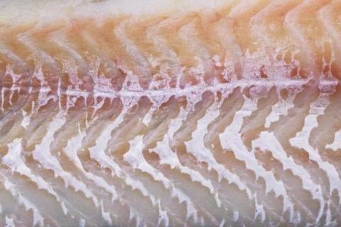 Background texture of fish fillets close-up macro Foto stock