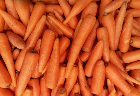 Background texture of fresh large orange carrots vegetables in supermarket. Stock Photos