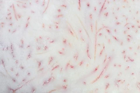Background texture of a fresh taro. Close up of taro sliced in half. Stock Photos