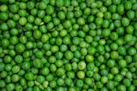 Background Texture Of Garden Peas Photos