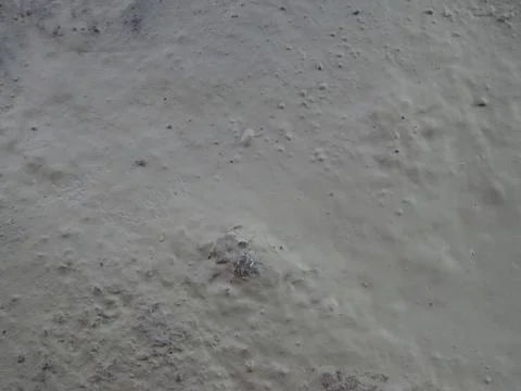 Background The texture of the gray floor made of cement Foto stock