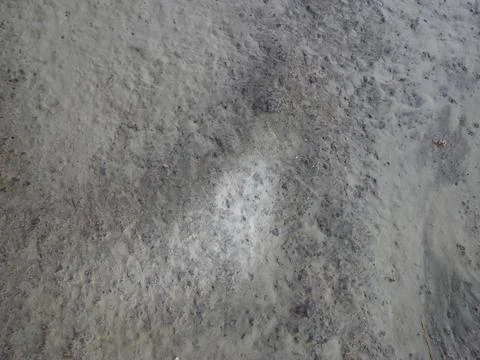 Background The texture of the gray floor made of cement Stock Photos