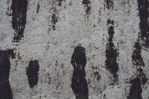 Background texture. Gray old stained surface of roofing material. Copy space Stock Photos
