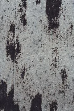 Background texture. Gray old stained surface of roofing material. Copy space. Foto stock