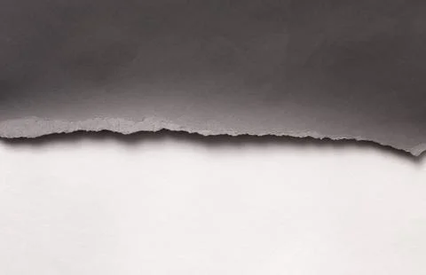 Background texture of gray paper with a torn off uneven edge. Foto stock