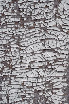 Background texture. Gray surface with white old cracked paint. Top view, copy Foto stock