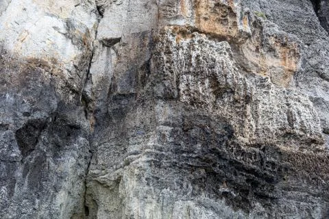 Background, texture of grey rock. Texture, background of shell rock. Stock Photos