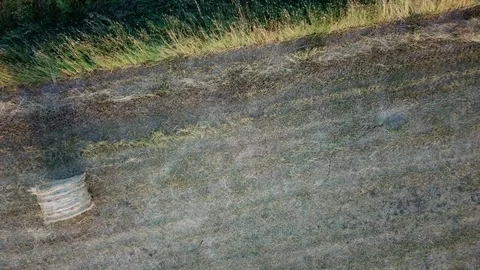 Background-Texture Hay bale on a meadow .mov Stock Footage 90943895