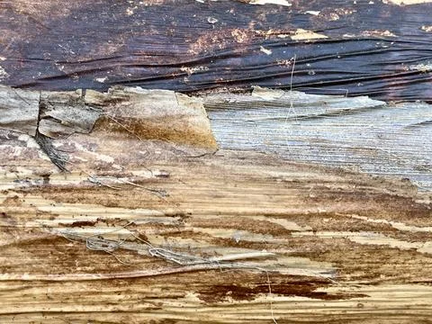 Background texture of heavily weathered decayed and broken old brown wood panel Stock Photos