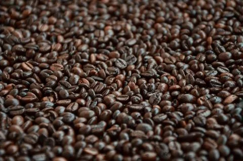 Background texture of a huge number of fragrant and fresh brown roasted coffe Stock Photos