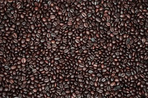 Background texture of a huge number of fragrant and fresh brown roasted coffe Stock Photos