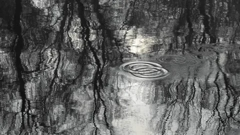 Background texture of the landscape of the river water reflection circles of Stock Footage 147601833