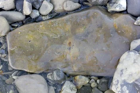 Background texture large gray stone turned with water Stock Photos