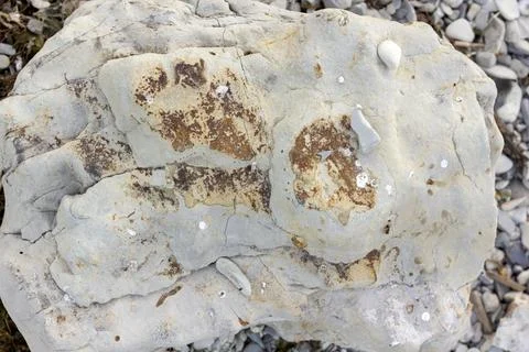 Background texture large gray stone turned with water Stock Photos