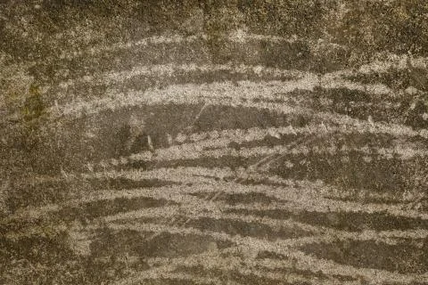Background of the texture of a light concrete wall. Stock Photos