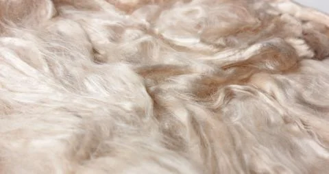 Background with texture of light wool Stock Photos