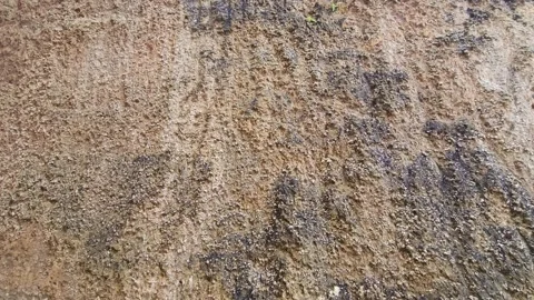 Background texture limestone rock face Stock Footage 301601219