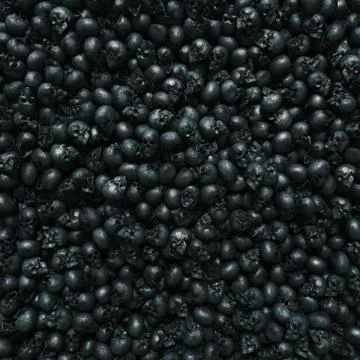 Background, texture made of human skulls with copy space Stock Photos