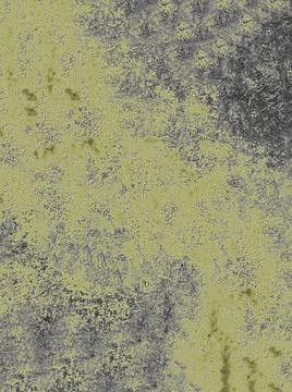 The background texture of the matte mustard-colored surface with spots and .. Stock Photos