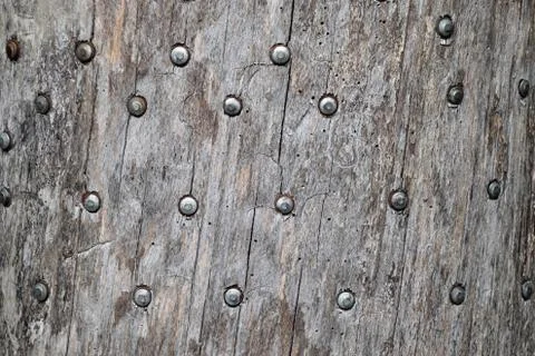 Background texture nails hammered into tree. Nails hats. Stock Photos