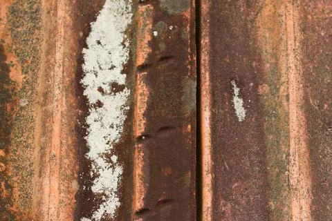 Background, texture, old shingles with erosion, close-up. Stock Photos