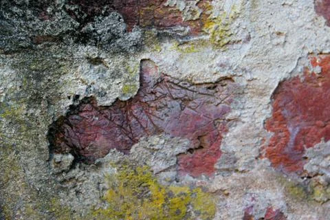 Background with texture of old wall with mold and paint colors Foto stock