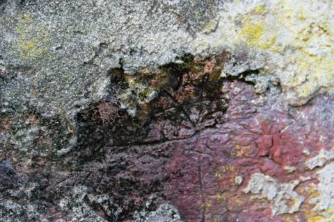 Background with texture of old wall with mold and paint colors Foto stock