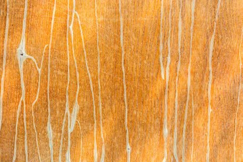 Background texture old walnut laminated wood Stock Photos