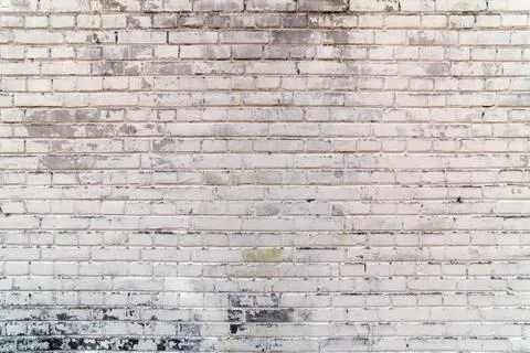Background texture of a old white brick wall Foto stock