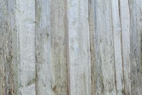 Background texture of old white painted wooden lining boards wall. Stock Photos