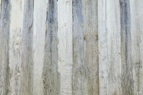 Background texture of old white painted wooden lining boards wall. Stock Photos