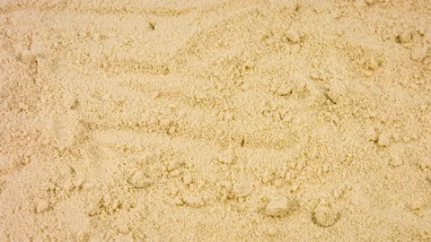 Background texture of organic coconut sugar for its low glycemic index Video stock 89782117