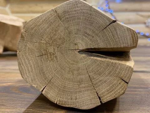 Background texture: part of an oak log. Cut the structure of a tree trunk. Sa Stock Photos