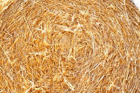 Background, texture, pattern, design, abstraction Stock Photos