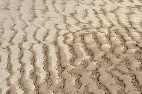 Background, texture, pattern of wet and dry sand. Stock Photos