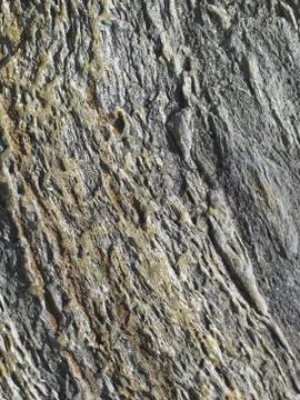 Background texture Stock Photos