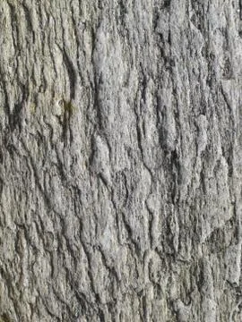 Background texture Stock Photos